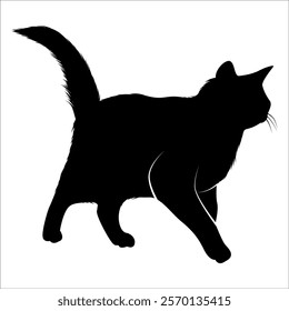 Animal Cat Silhouette vector illustration