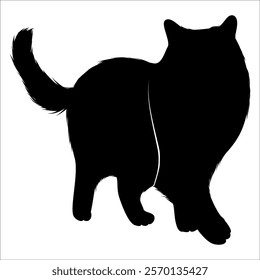 Animal Cat Silhouette vector illustration