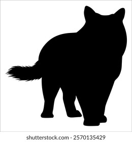 Animal Cat Silhouette vector illustration