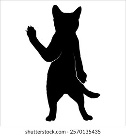 Animal Cat Silhouette vector illustration