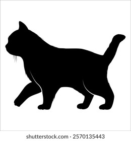 Animal Cat Silhouette vector illustration