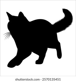 Animal Cat Silhouette vector illustration