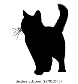 Animal Cat Silhouette vector illustration