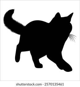 Animal Cat Silhouette vector illustration