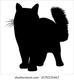 Animal Cat Silhouette vector illustration