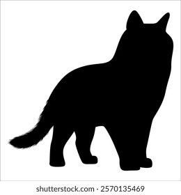 Animal Cat Silhouette vector illustration