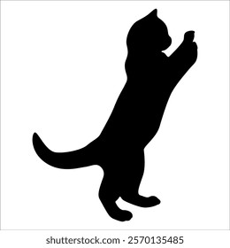 Animal Cat Silhouette vector illustration