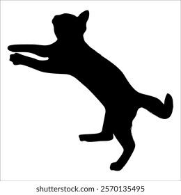 Animal Cat Silhouette vector illustration