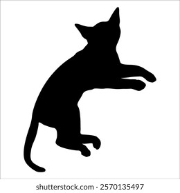 Animal Cat Silhouette vector illustration