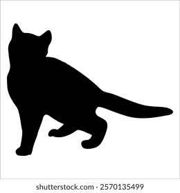 Animal Cat Silhouette vector illustration