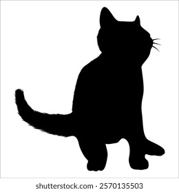 Animal Cat Silhouette vector illustration