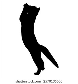 Animal Cat Silhouette vector illustration