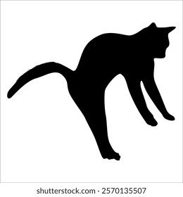 Animal Cat Silhouette vector illustration