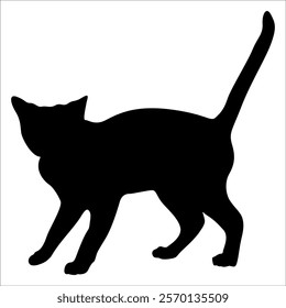 Animal Cat Silhouette vector illustration