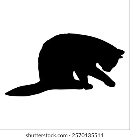 Animal Cat Silhouette vector illustration