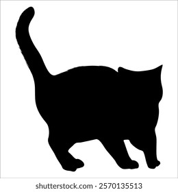 Animal Cat Silhouette vector illustration