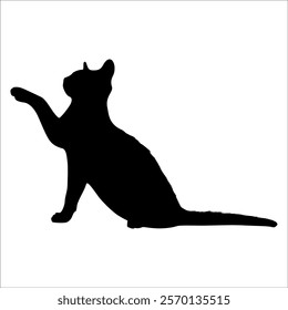 Animal Cat Silhouette vector illustration