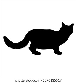 Animal Cat Silhouette vector illustration