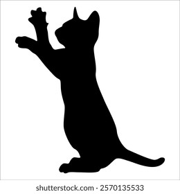 Animal Cat Silhouette vector illustration