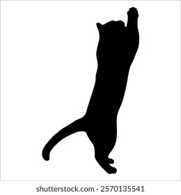 Animal Cat Silhouette vector illustration