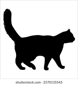 Animal Cat Silhouette vector illustration