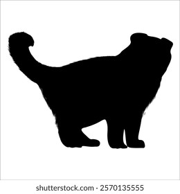 Animal Cat Silhouette vector illustration