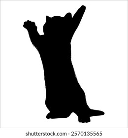 Animal Cat Silhouette vector illustration