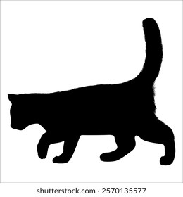 Animal Cat Silhouette vector illustration