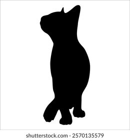 Animal Cat Silhouette vector illustration