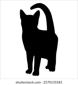 Animal Cat Silhouette vector illustration