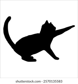 Animal Cat Silhouette vector illustration