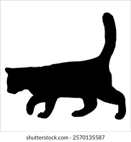 Animal Cat Silhouette vector illustration