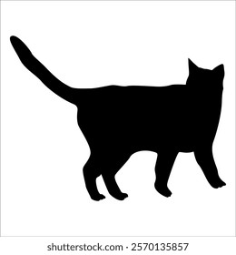 Animal Cat Silhouette vector illustration