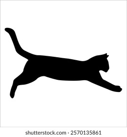 Animal Cat Silhouette vector illustration