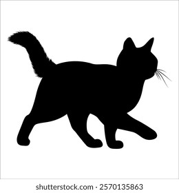 Animal Cat Silhouette vector illustration