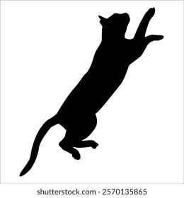 Animal Cat Silhouette vector illustration