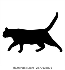 Animal Cat Silhouette vector illustration