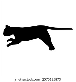 Animal Cat Silhouette vector illustration