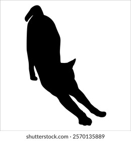 Animal Cat Silhouette vector illustration