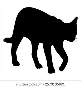 Animal Cat Silhouette vector illustration