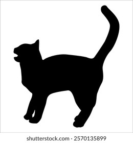 Animal Cat Silhouette vector illustration