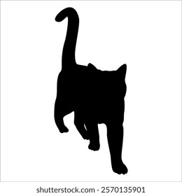 Animal Cat Silhouette vector illustration