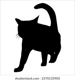 Animal Cat Silhouette vector illustration