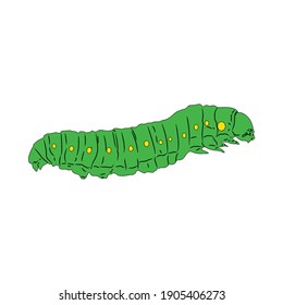 animal caterpillar fill line icon vector illustration