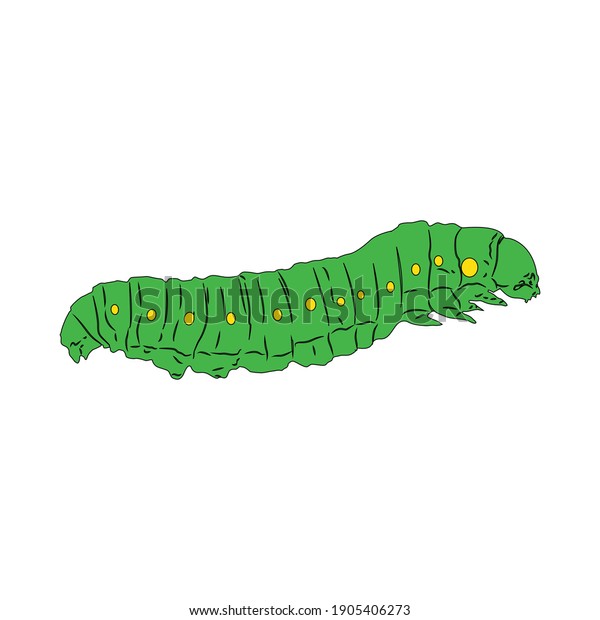 Animal Caterpillar Fill Line Icon Vector Stock Vector (Royalty Free ...