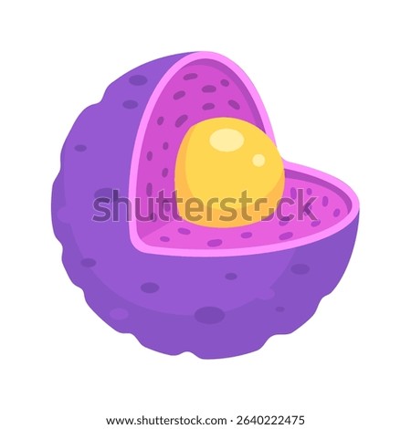 Animal cell nuclear structure for science study