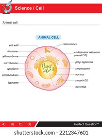 Animal cell and its parts for science and biology