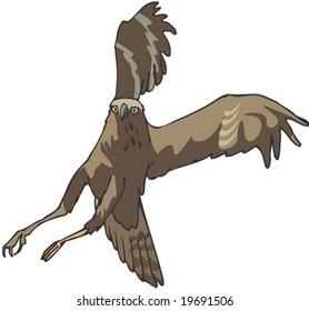 Tierart