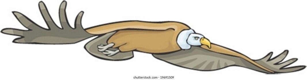 Animal Character