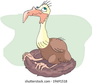 Animal Character